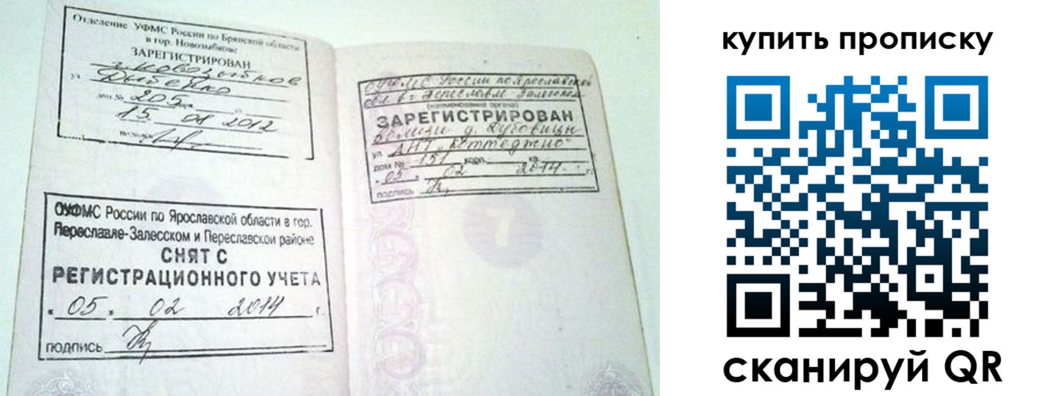 прописка ребенка в Ленинградской области